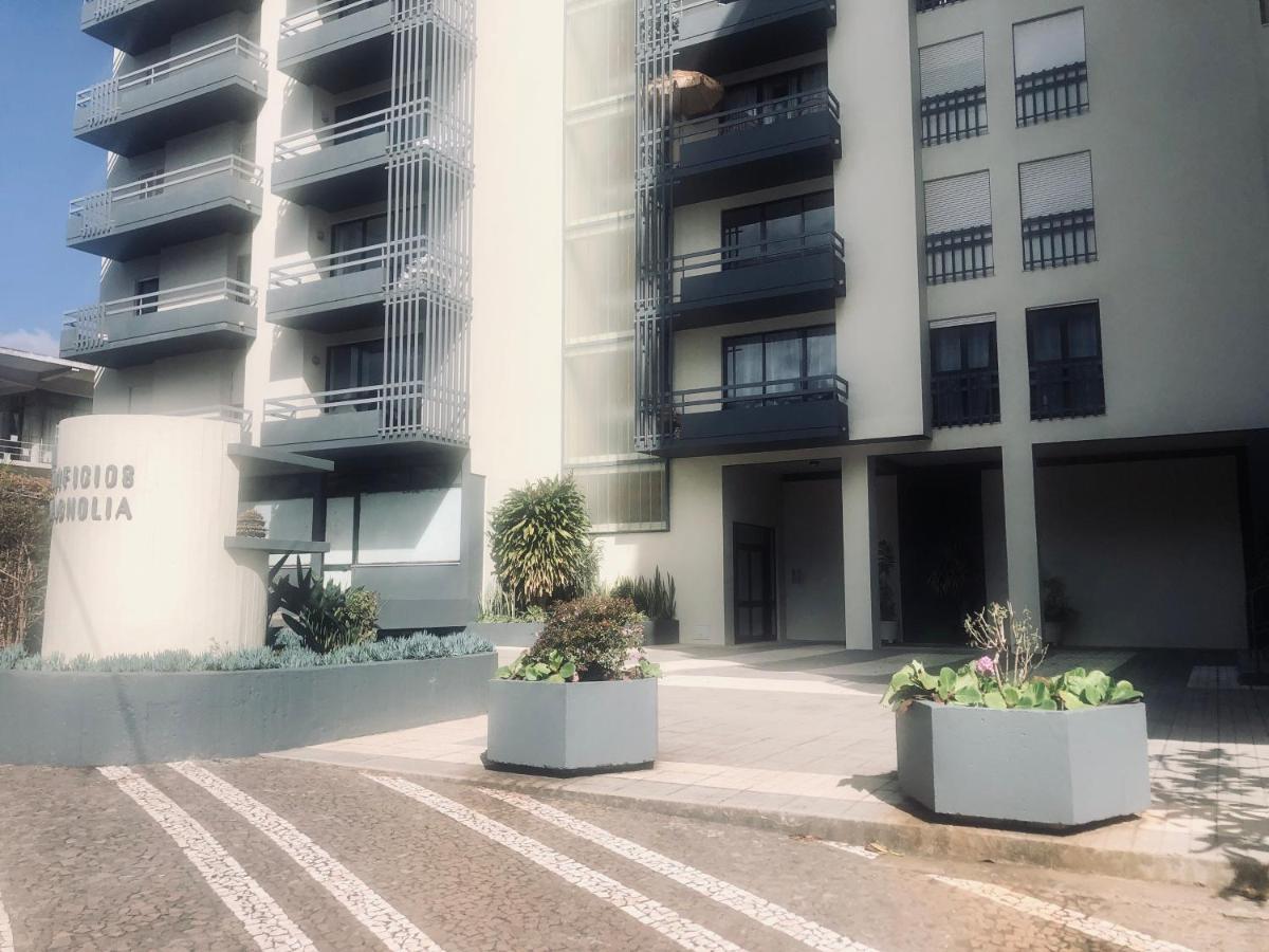 Blue River - Rua Dr Pita - Rooms Near Jardim Magnolia Funchal  Exterior foto